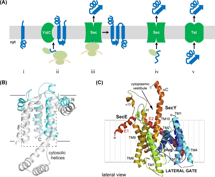 Figure 3.