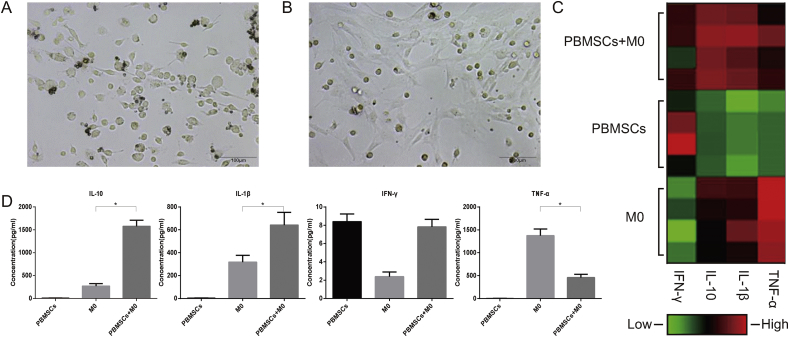 Fig. 2