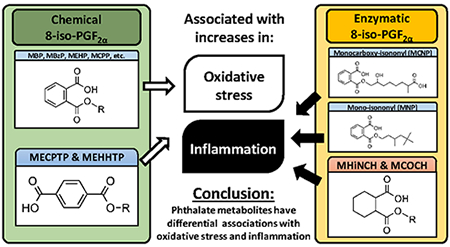 graphic file with name nihms-1524017-f0003.jpg