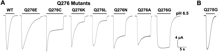 Figure 1—figure supplement 1.