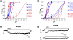 Figure 5—figure supplement 1.