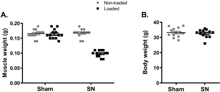 Supplemental Fig. 2