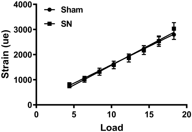 Supplemental Fig. S1