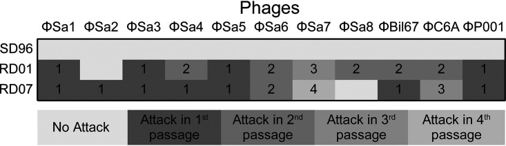 FIG 3