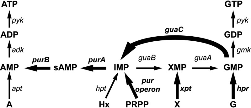 FIG 6