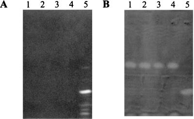 FIG. 7