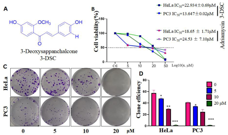 Figure 1