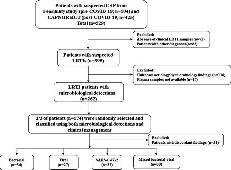 Flowchart depicts selection process for 174 patients with suspected CAP from a total of 529. Patients were classified into bacterial, viral, SARS-CoV-2, or mixed bacterial-viral groups after exclusions, using microbiological and clinical data.