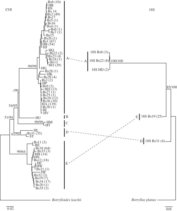 Figure 2.