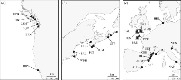 Figure 1.