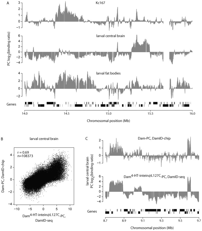 Figure 3.