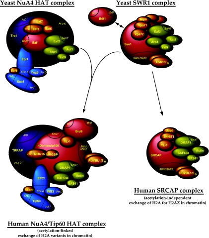 FIG. 6.