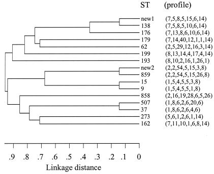 FIG. 2.