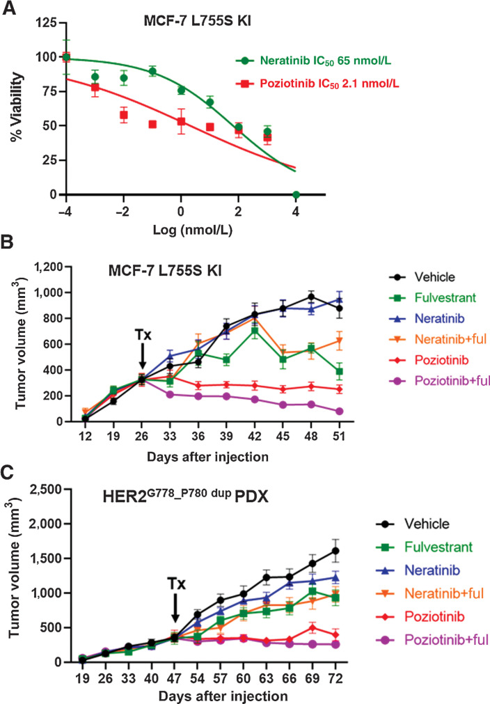 Figure 4. ER+ IDC HCI-003 PDX and ER+ IDC MCF7-L755S KI in vivo models display resistance to neratinib but are sensitive to poziotinib alone or in combination with fulvestrant. A, Dose-response curves for MCF7-L755S KI cells grown in E2-deprived media, to which increasing concentrations of neratinib and poziotinib were added twice a week for 4 weeks. B, MCF7-L755S KI cells or (C) HCI-003 tumors were engrafted into mouse mammary fat pads in the presence of E2 until tumor size reached 300–400 mm3. Subsequently, the E2 supplementation was withdrawn in B, but was continued in C. The mice were randomized in the presence of vehicle or fulvestrant (250 mg/kg/body weight of mice) or neratinib chow (40 mg/kg) or poziotinib chow (10 mg/kg). Tumor volume was measured. The data are plotted as mean tumor volume in mm3 ± SEM, n = 5–8. The significance (P value) of MCF7-L755S KI (B) was calculated on day 51, vehicle vs. poziotinib, <0.0001; vehicle vs. poziotinib + fulvestrant <0.0001; poziotinib vs. neratinib, <0.0001; vehicle vs. neratinib, N.S; vehicle vs. neratinib + fulvestrant, 0.007; vehicle vs. fulvestrant, <0.0001. The significance (P value) of HCI-003 (C) was calculated on day 72, vehicle vs. poziotinib <0.0001; vehicle vs. poziotinib + fulvestrant <0.0001; poziotinib vs. neratinib <0.0001; vehicle vs. neratinib 0.002; and vehicle vs. neratinib + fulvestrant <0.0001.