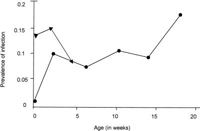 FIG. 1