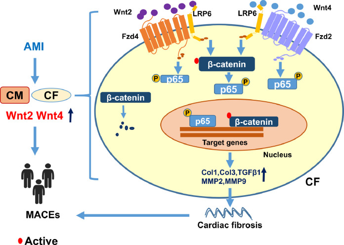 Fig 10