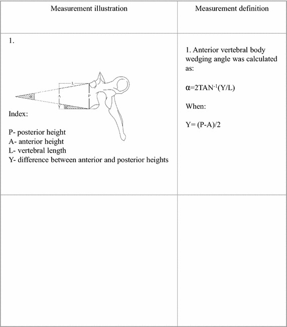 Fig. 2