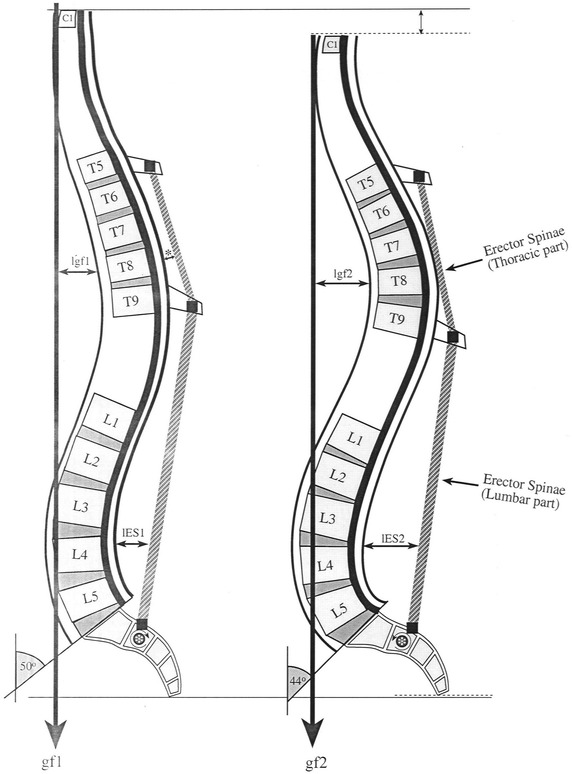 Fig. 4