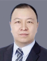 graphic file with name ADVS-10-2207050-g007.gif