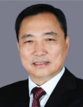 graphic file with name ADVS-10-2207050-g006.gif