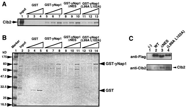 FIG. 7.