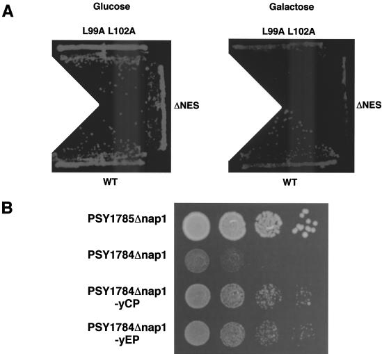 FIG. 6.