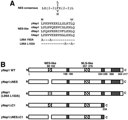 FIG. 1.