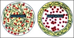 Figure 1c