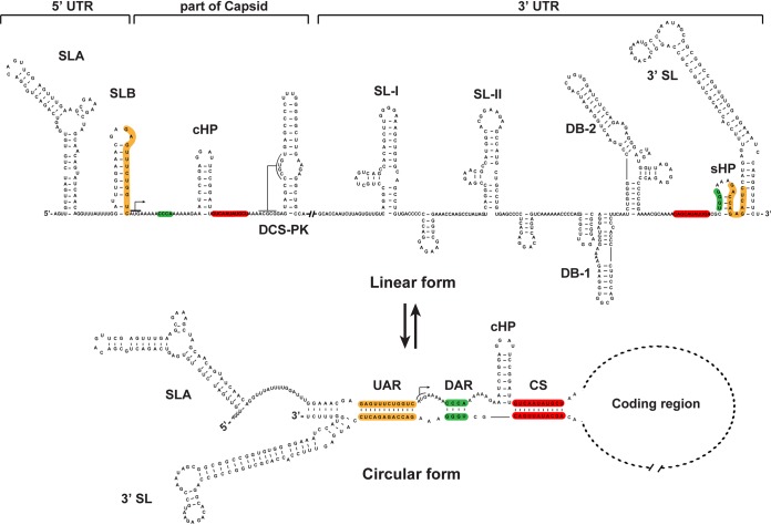 FIG 1