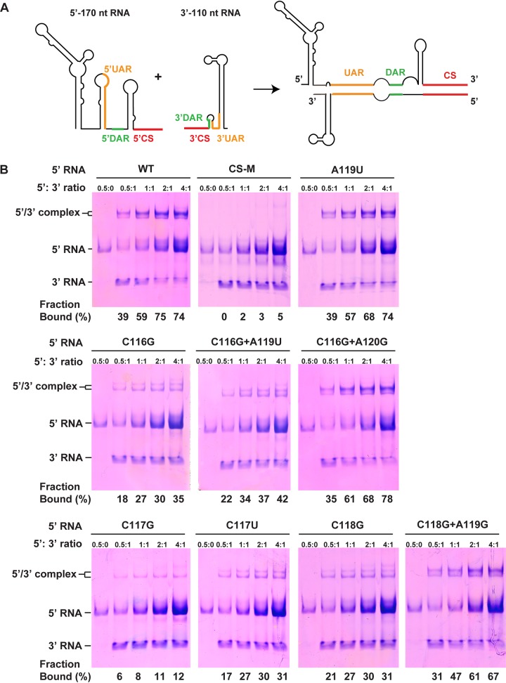 FIG 8