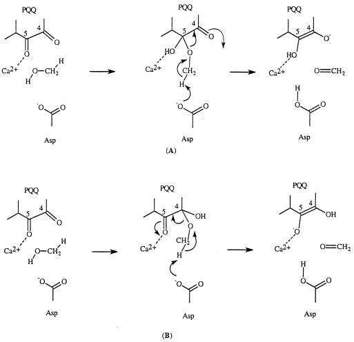 Scheme 5