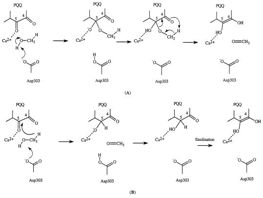 Scheme 2