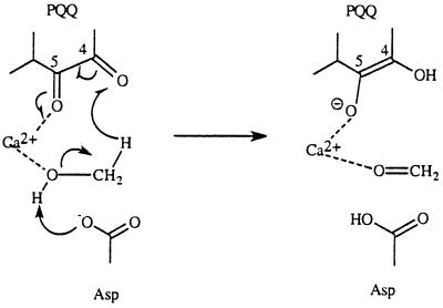 Scheme 4