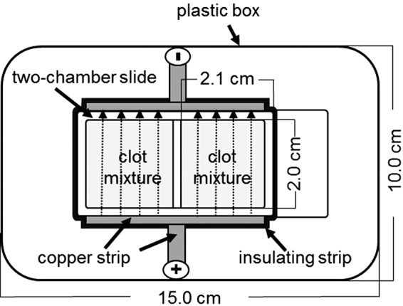 FIG. 2.