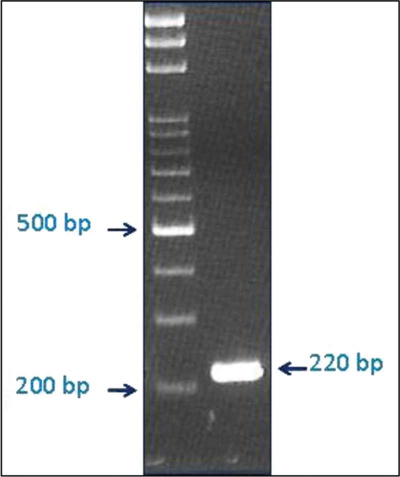 FIGURE 3