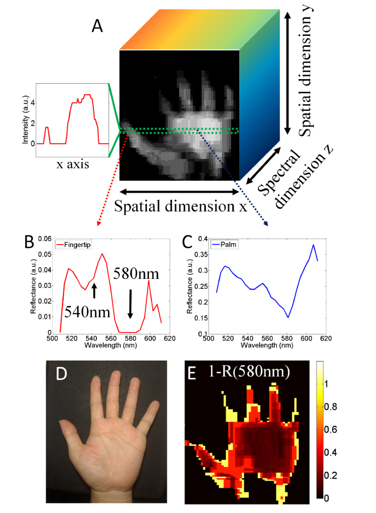 Fig. 4