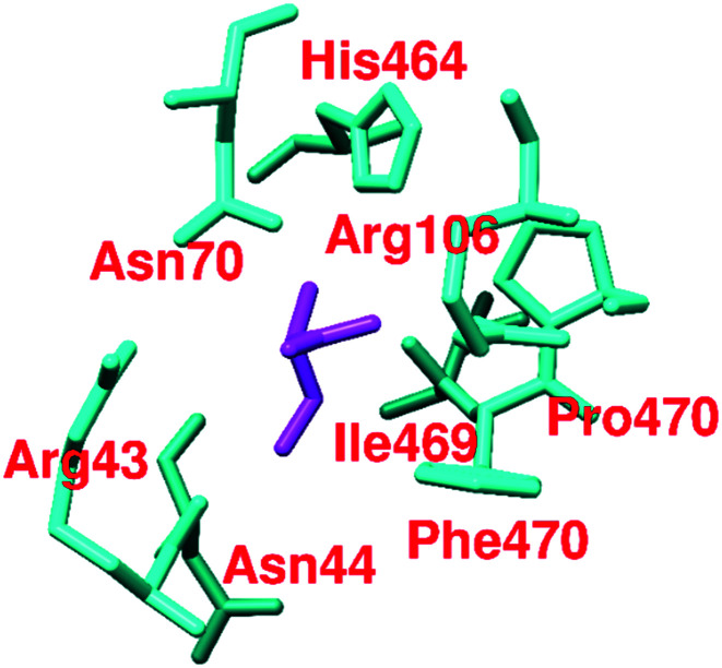 Fig. 18