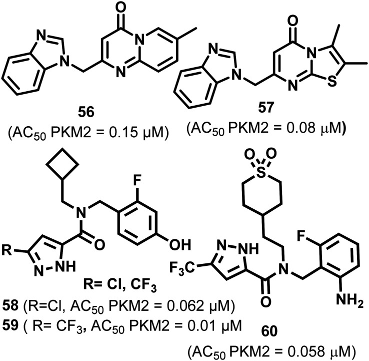 Fig. 23