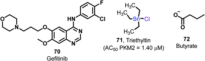 Fig. 27