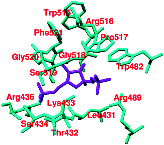 Fig. 17