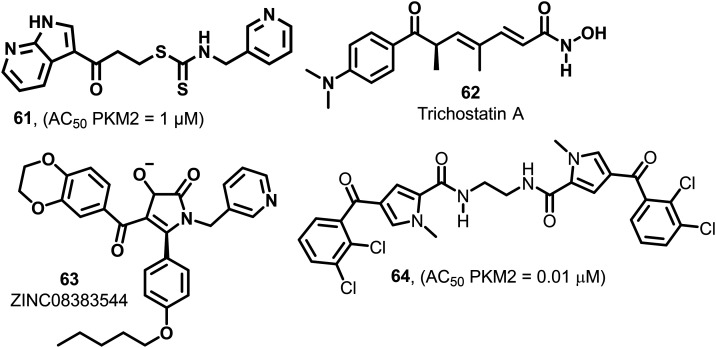 Fig. 24