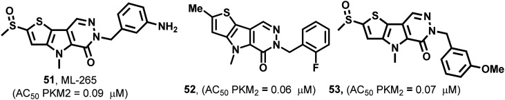 Fig. 21