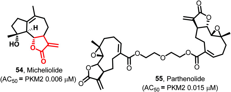 Fig. 22