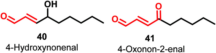 Fig. 14