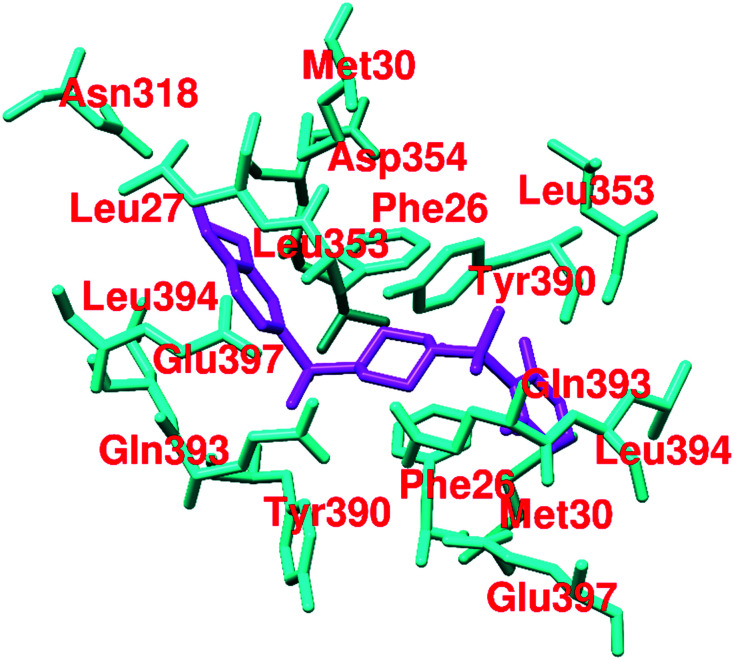 Fig. 20