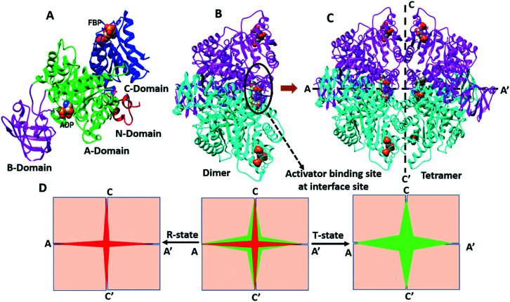 Fig. 2