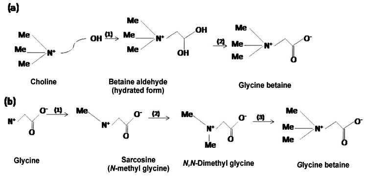 Fig. (1)