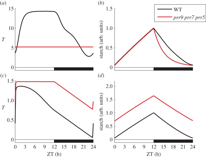 Figure 5.