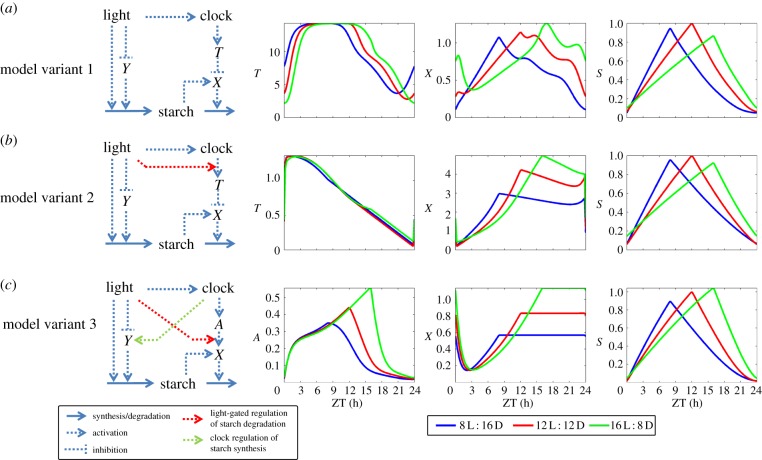 Figure 1.