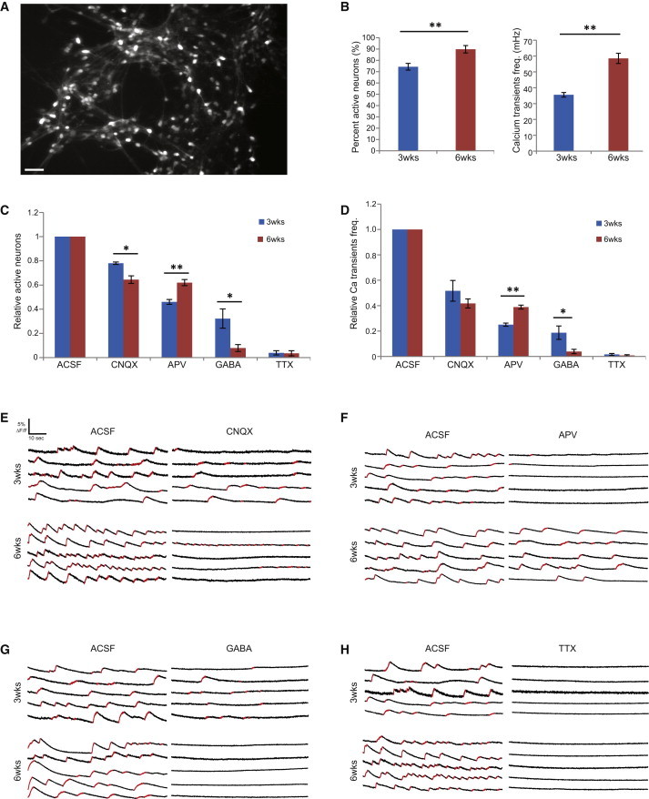 Figure 4